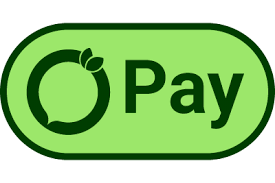  الان بخرید آخر ماه پرداخت کنید 